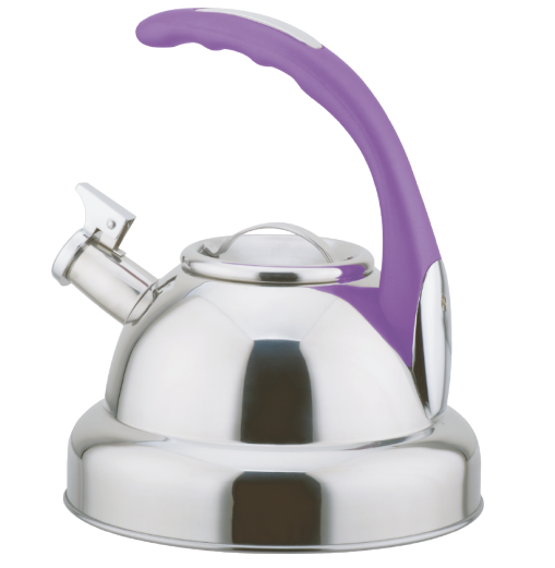 Model HS-W028 Stainless Steel Kettle