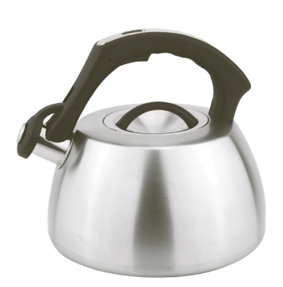 Model HS-W035 Stainless Steel Kettle