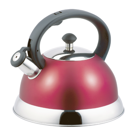 Model HS-W044 Stainless Steel Kettle