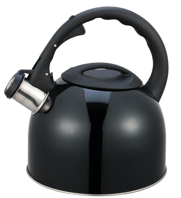 Model HS-W045 Stainless Steel Kettle