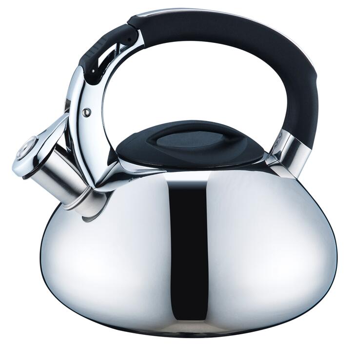Model HS-W049 Stainless Steel Kettle