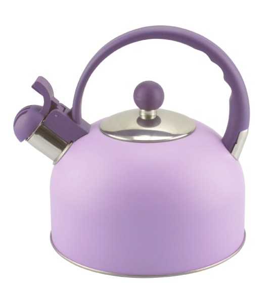 Model HS-W051 Stainless Steel Kettle