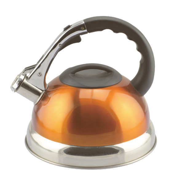 Model HS-W057 Stainless Steel Kettle