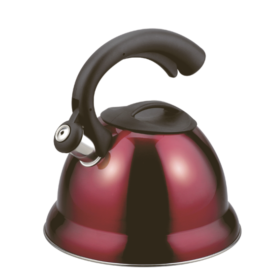 Model HS-W066 Stainless Steel Kettle