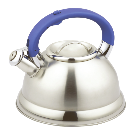 Model HS-W068 Stainless Steel Kettle