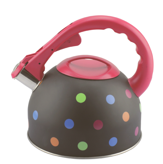 Model HS-W076 Stainless Steel Kettle
