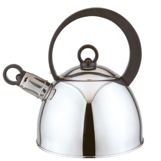 Model HS-W079 Stainless Steel Kettle